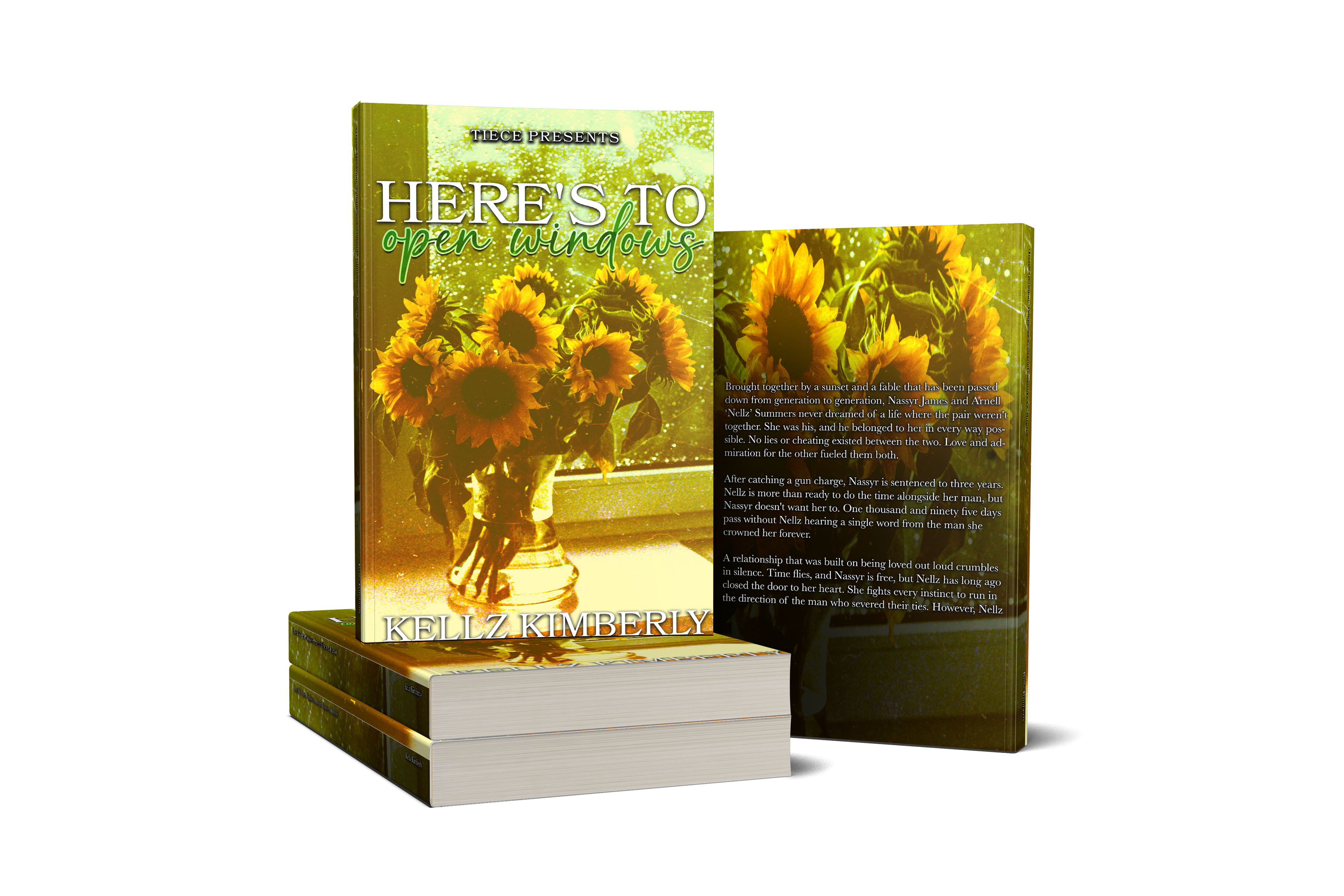 Here's To Open Windows Paperback